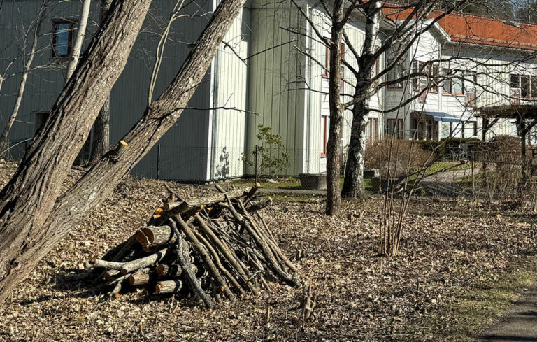 Hög med trädgrenar.
