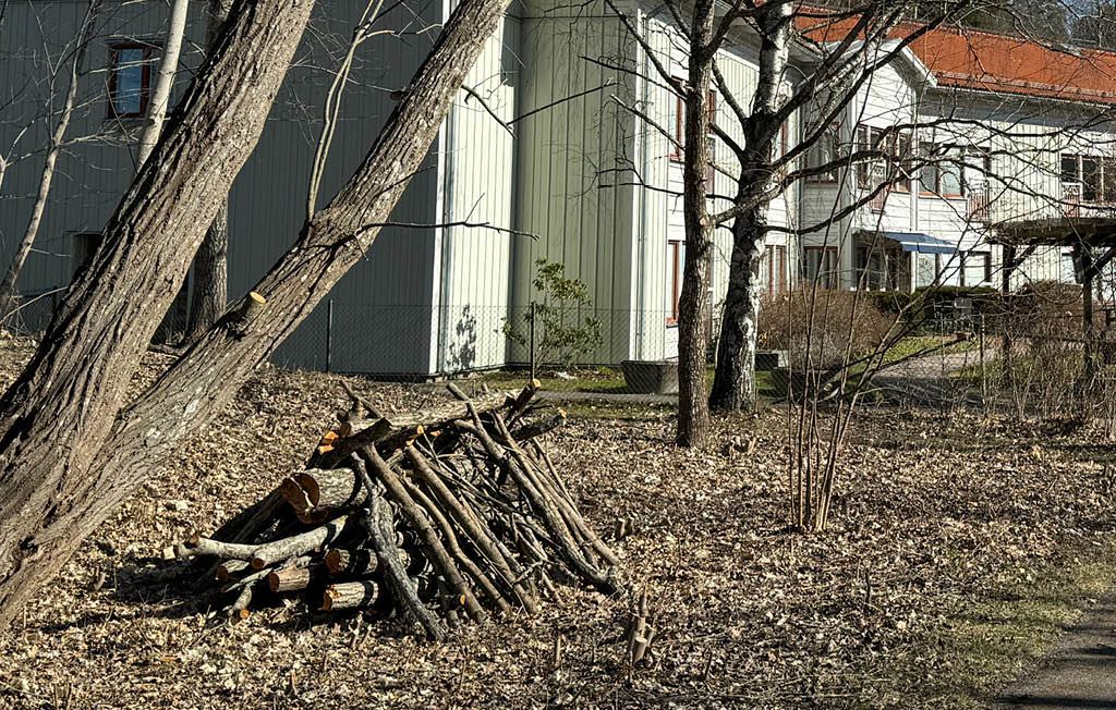 Hög med trädgrenar.